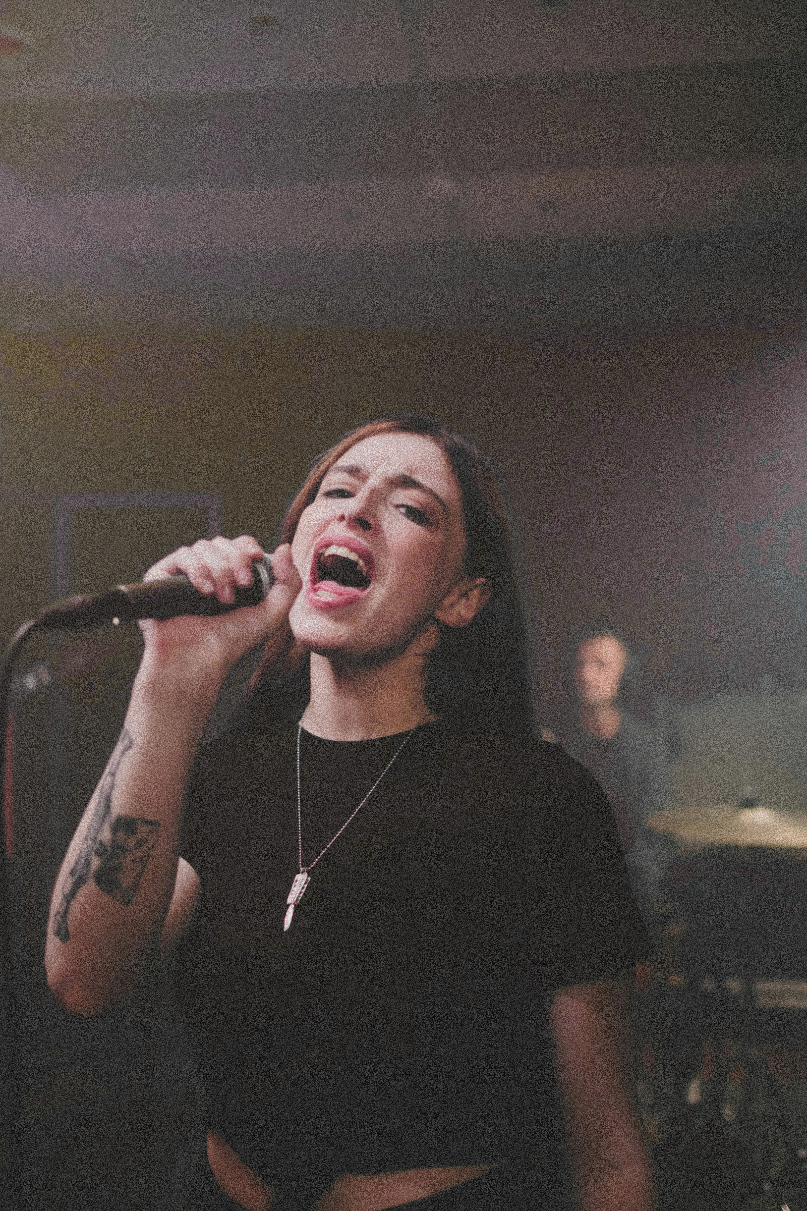 chanteur.se confirmé